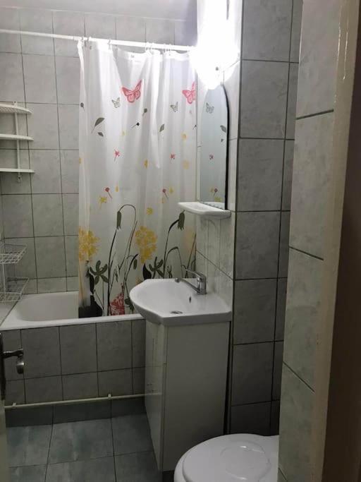 Apartament Confortabil Piteşti Esterno foto